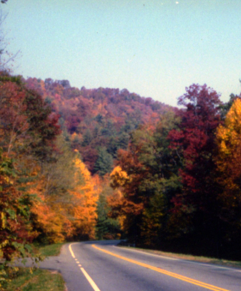 Hwy 129 in Union County Georgia near Vogle Park
