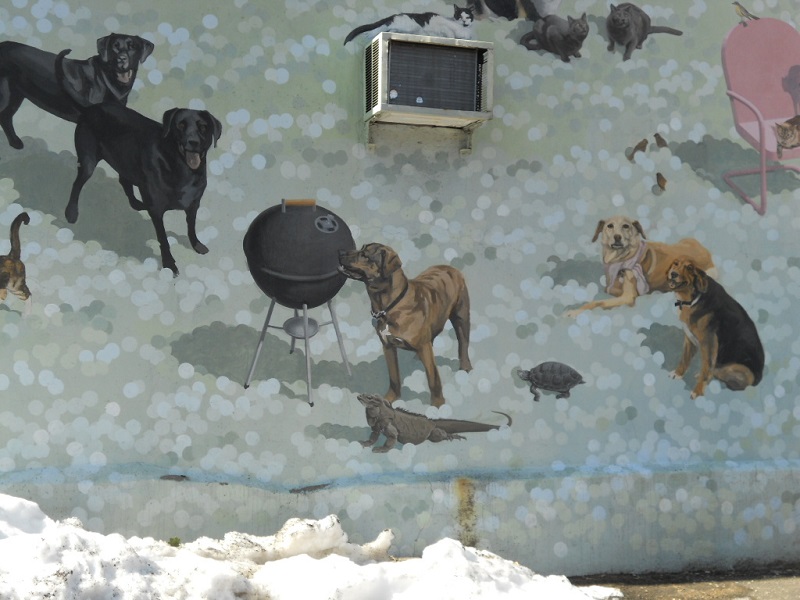 a detail from Gimme Shelter A tribute to pets by artist David Guinn in Philadelphia