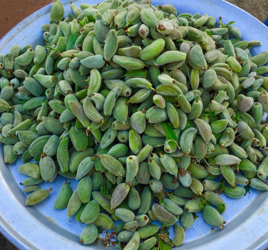 plate of green almonds in Jordan