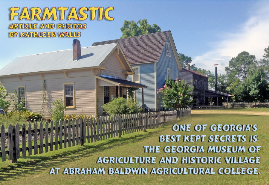 Georgia Agrirama also known as Georgia Museum of Agriculture's historic villlage ll and blacksmith shop