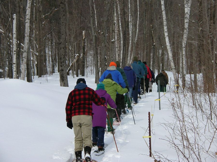 Line fo peopel in snow visiting a maple tapping 