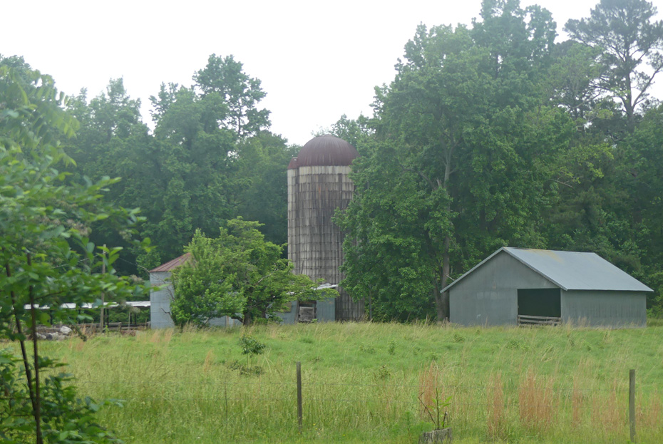 silo and outbuildings at Carvers Creek State Park
