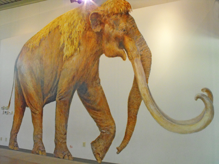 Mural of a Columbian mammoth at Waco Mammoth National Monument. 
