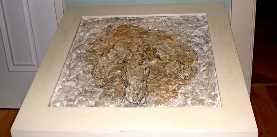 Mayborn Musuem in Waco, Texas exhibit showing Glen Rose Footprint
