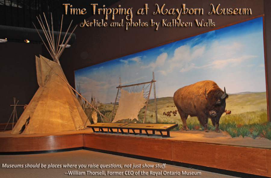 Mayborn Musuem in Waco, Texas exhibit showing teepee and buffalo used as header