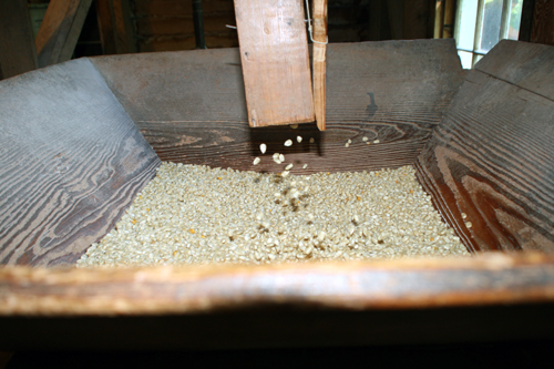 Milled grain falls throught the chute into collection bin at Nora Mill