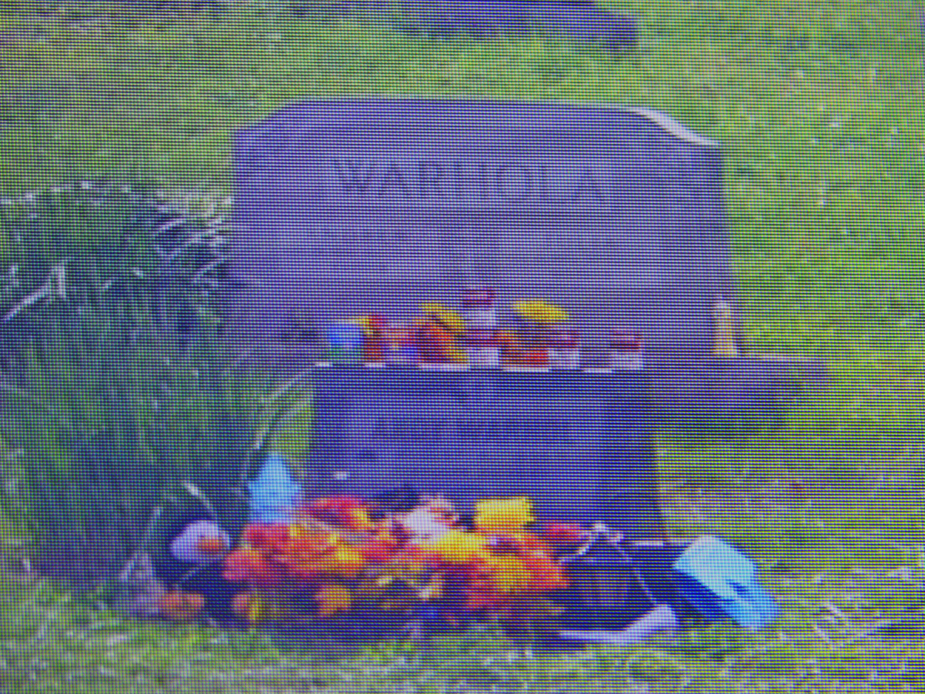 Andy Warhol grave on videocam at Andy Warhol Musuem