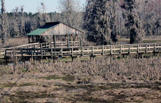 One of the boardwalks at Phinizy Swamp Nature Park in Augusta, GA