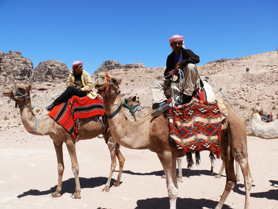 two camel owners and camels waiting tourists at Mount Sinai