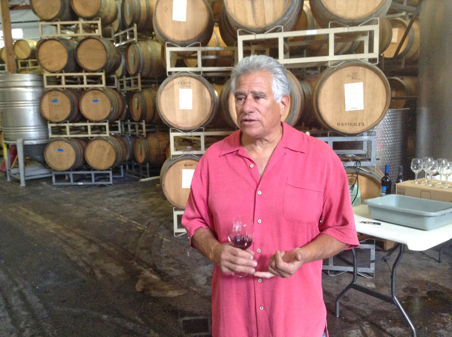 Man standing in fronto fwine barrels at Domenico Winery
