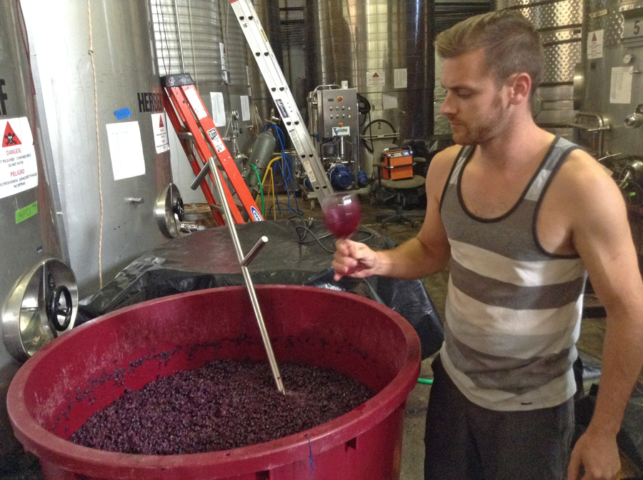 young man tasting wine that is fermenting at Domenico Winery
