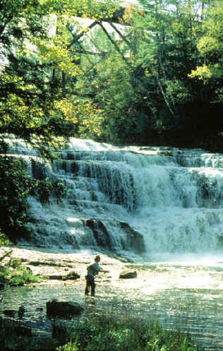 2161 Agate Falls small.jpg (255289 bytes)