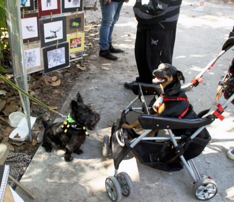 Micanopy,Fflorida Festival Baron meeting Lucky