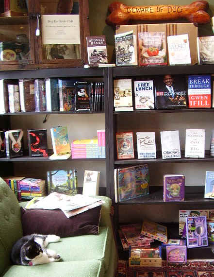 Eve the bookstore cat lounges in luxury.JPG (123695 bytes)