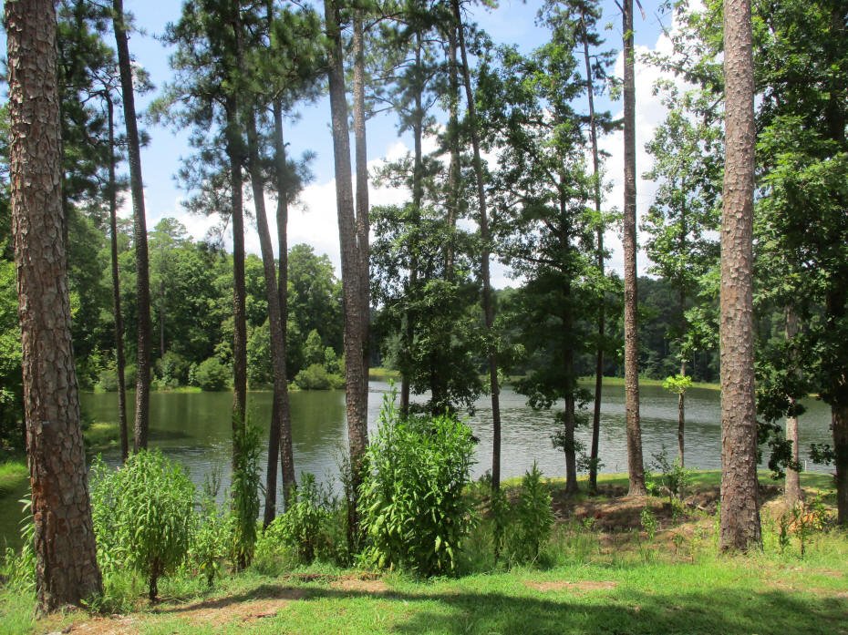 lake