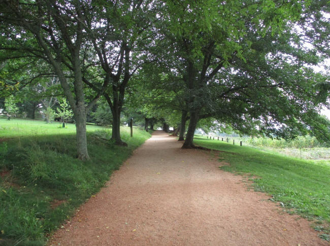 Mulberry Row