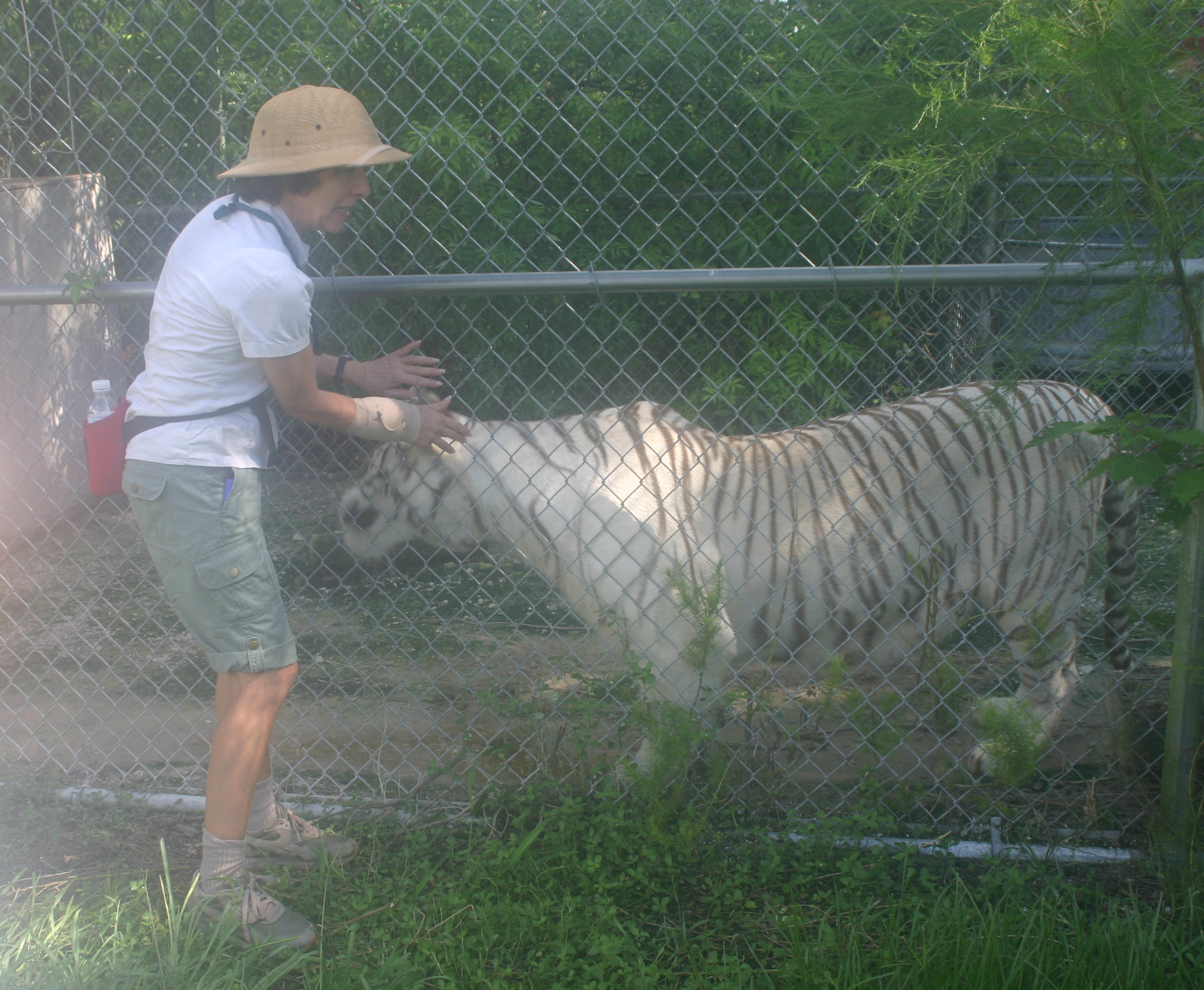 trainer with tiger
