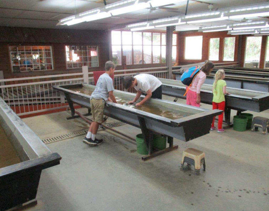 Panning ifor gold in Dahlonega, GA