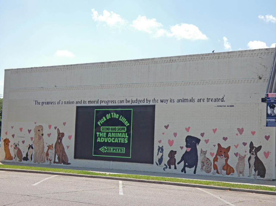 mural on animal rescue store