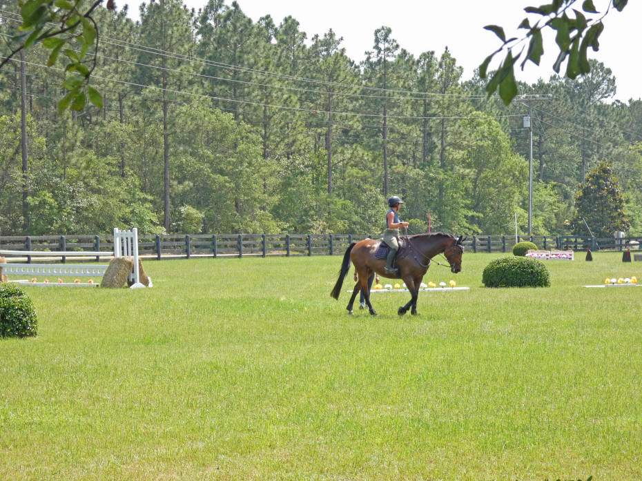 rider on horse