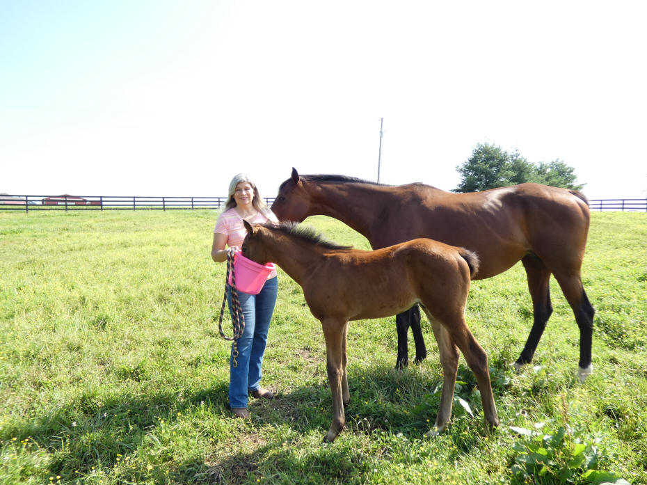 Melody feeding rescued mare and her colt