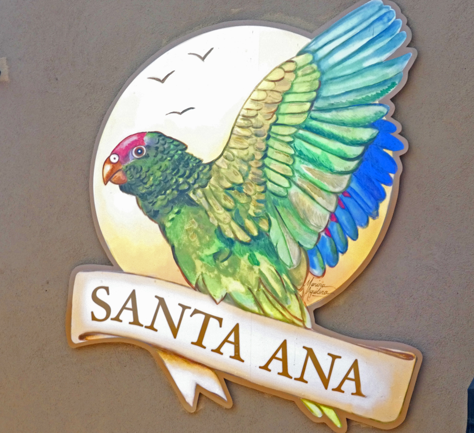 Green Parot of Santa ana mural