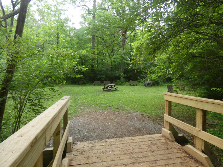 boardwalk leading to picnic spot in woods