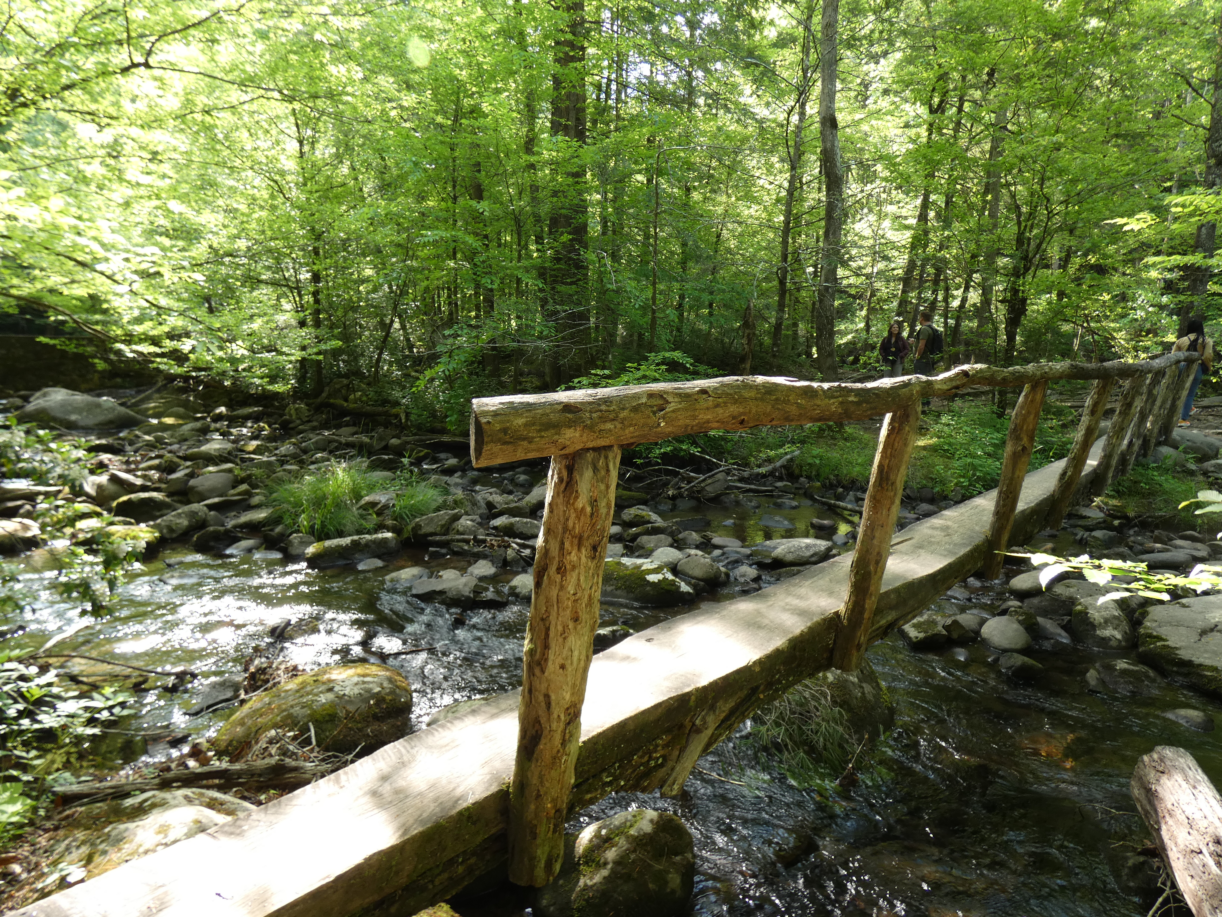 bridge to girl scout island