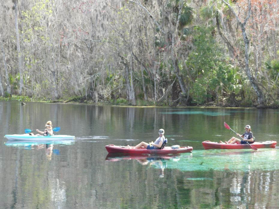 paddlers in spring