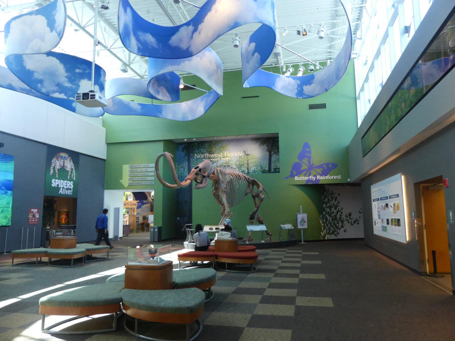 natural histoty museum