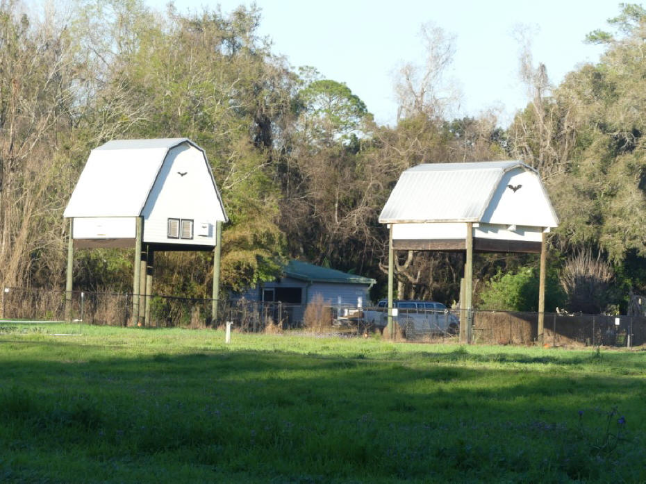 UF bat houses