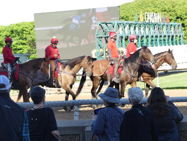 horses abnd jockies at Oaklawn track