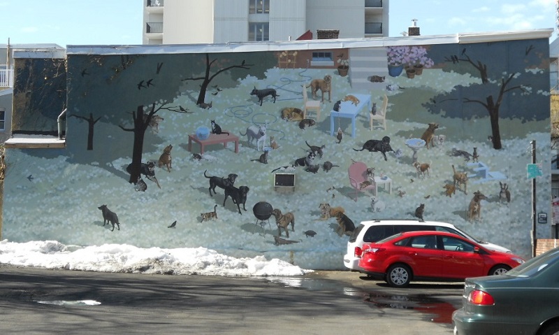 Gimme Shelter A tribute to pets by artist David Guinn in Philadelphia