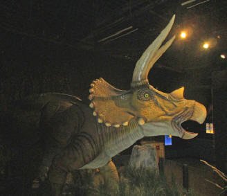 dinosaur