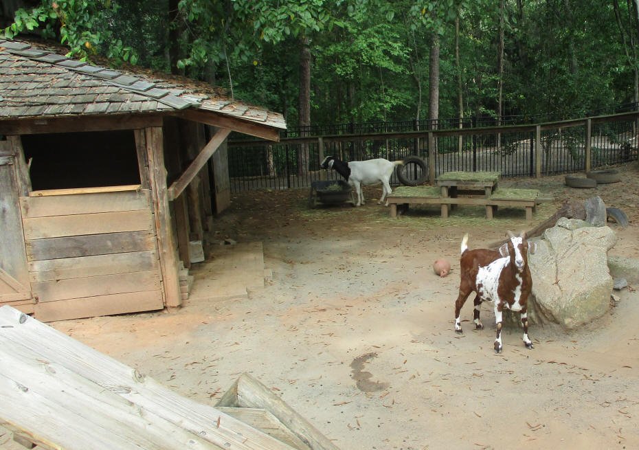 Farm