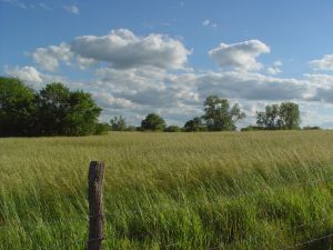 Prairie image: sxc.hu