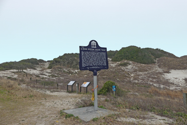 nana dune at american beach