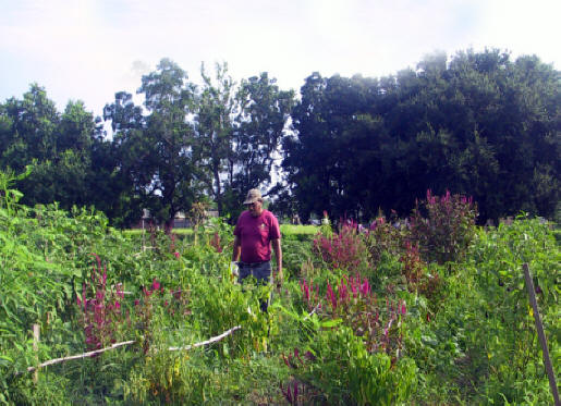  fields with a worker iat Vintage Garden Farm in St. Bernard Parish
