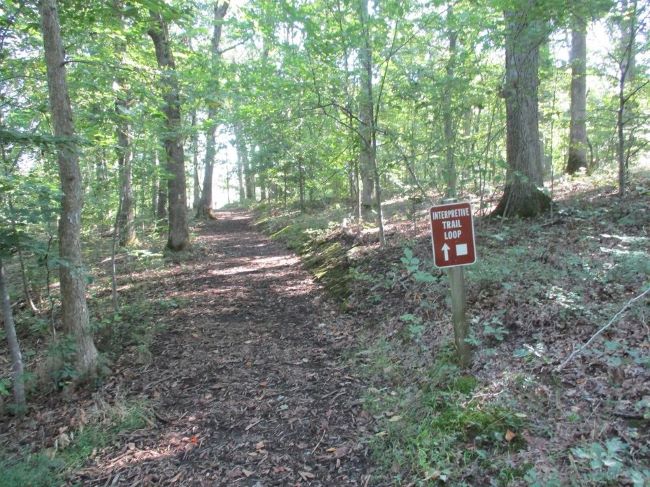 Trails at Balls Bluff Battlefield