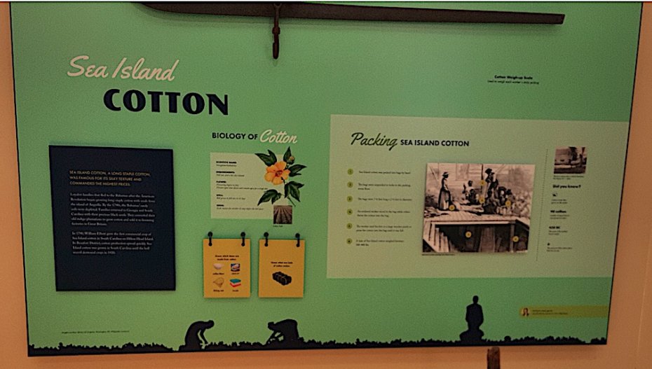 Poster explaing about Sea Island cotton