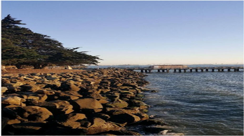 California Coast View