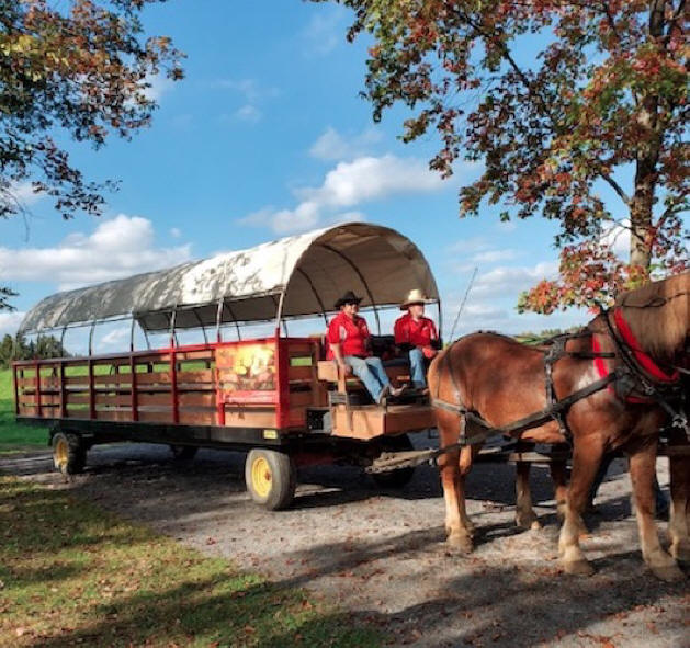 wagon tour at elk county state park
