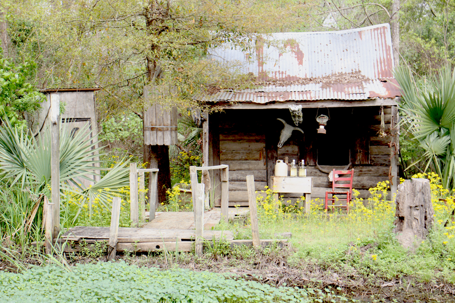 Cajun cabin in manchuc swamp