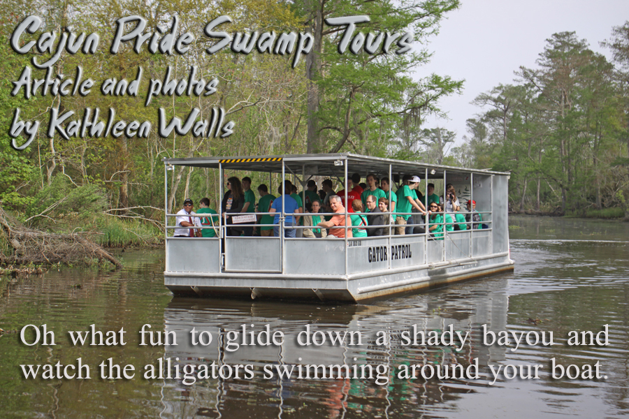 Cajun Pried Swamp Tour boat for title page