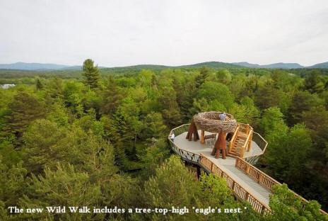 Eagles nest viewint platform at Wild Center in Adirondacks