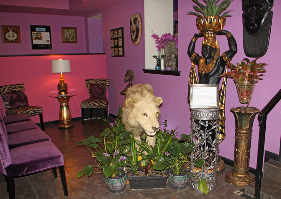 Lion and art at Nefetari’s Fine Cuisine & Spirits in Tallahassee