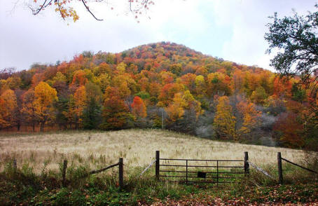 fall foliage in the appalachian mountains in West Virginia