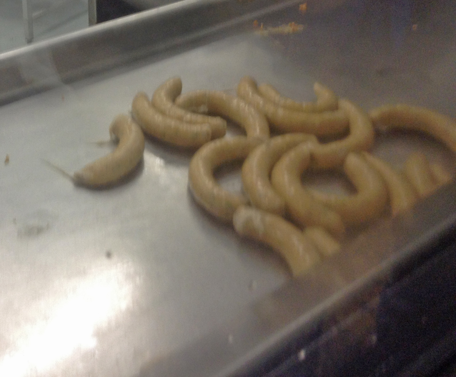 Finished boudin