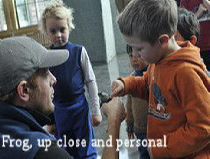 Children look at a frog up close  at Wild Center in Adirondacks