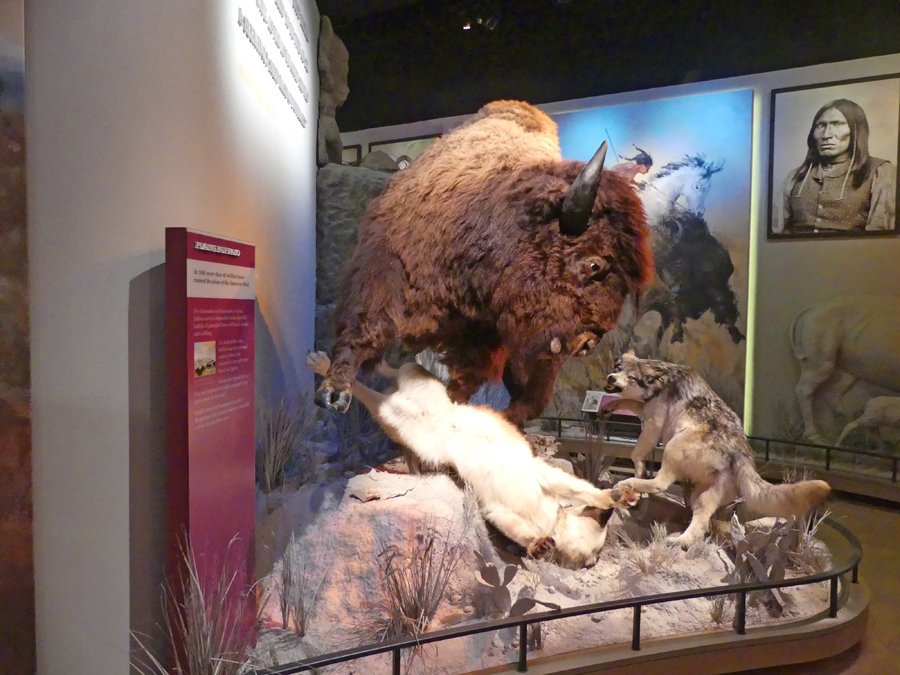 American Roads and Global Highways--Museum Row